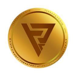 TerraPay Coin